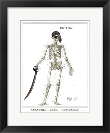 Framed Dandy Bones Pirate Print