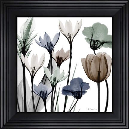 Framed Neutral Grouping 2 Print