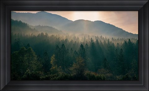 Framed Awakenings Print