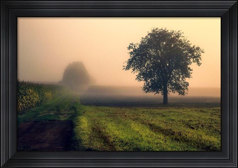 Framed Morning Mist Print