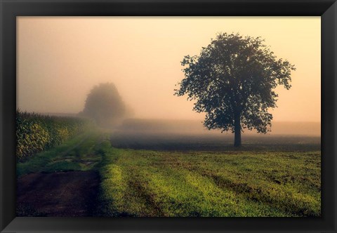 Framed Morning Mist Print