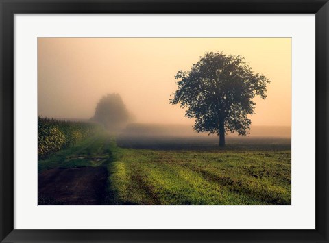 Framed Morning Mist Print