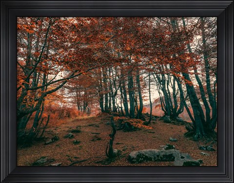 Framed Orange Season Print