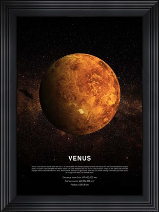 Framed Venus Print
