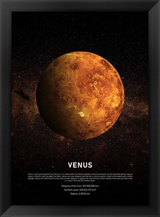 Framed Venus Print