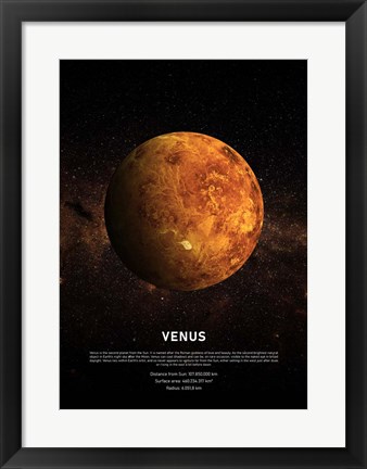 Framed Venus Print