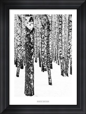 Framed White Edition 1 Print