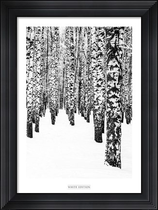 Framed White Edition 2 Print