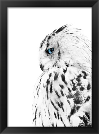 Framed White Owl Print