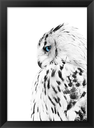 Framed White Owl Print