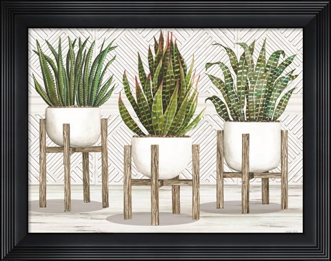 Framed Succulent Trio on Stands Print