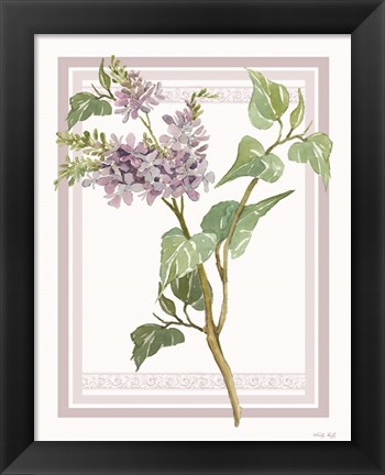 Framed Lilacs V Print