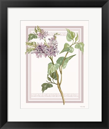 Framed Lilacs V Print