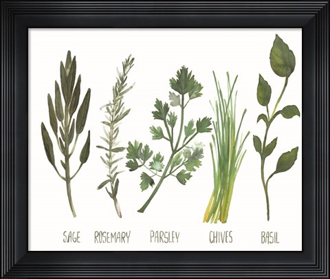 Framed Watercolor Herbs Print