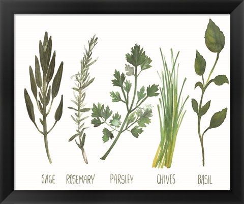 Framed Watercolor Herbs Print