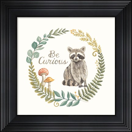 Framed Be Curious Raccoon Print