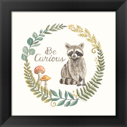 Framed Be Curious Raccoon Print