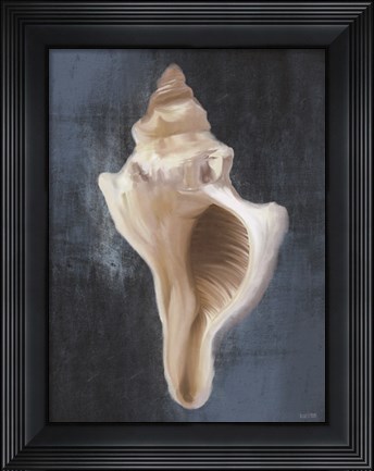 Framed Conch Shell Blues II Print