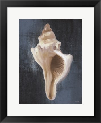 Framed Conch Shell Blues II Print
