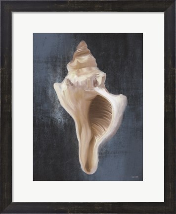 Framed Conch Shell Blues II Print