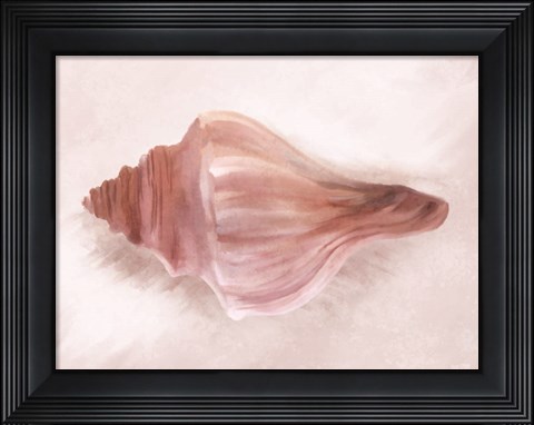 Framed Conch Shell Blush I Print