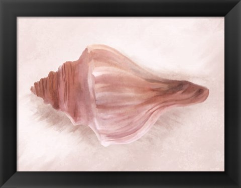 Framed Conch Shell Blush I Print