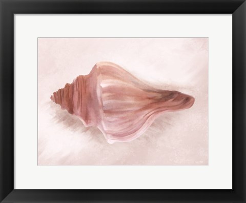 Framed Conch Shell Blush I Print