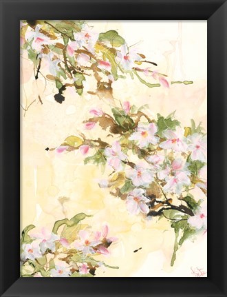 Framed Cherry Blossoms Print