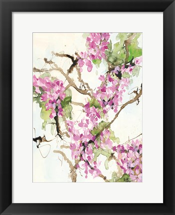 Framed Wisteria in Bloom Print