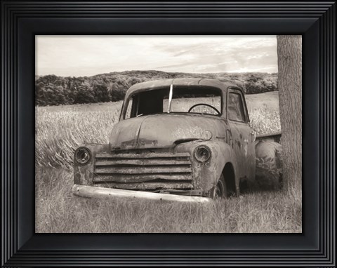Framed Rustic Charm II Print