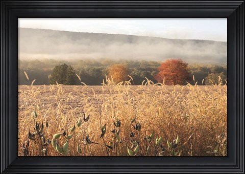 Framed Autumn Shades Print