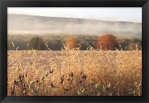 Framed Autumn Shades Print