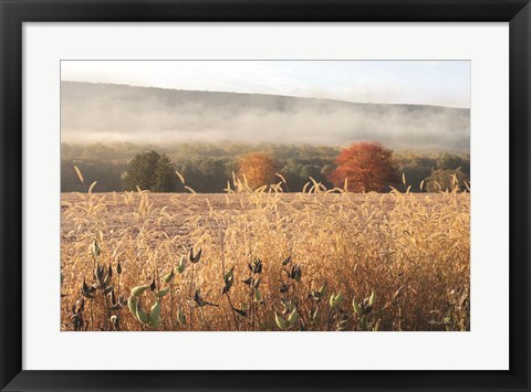 Framed Autumn Shades Print