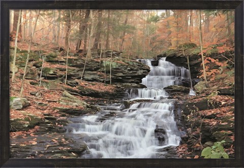 Framed Waterfall Steps at Pigeon Run Print