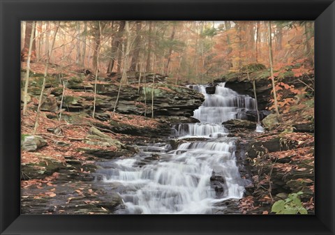 Framed Waterfall Steps at Pigeon Run Print