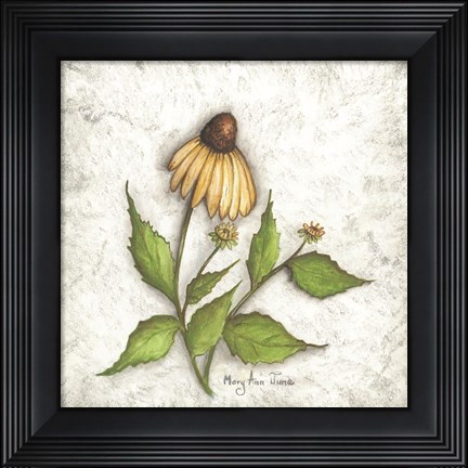 Framed Bloomin&#39; Coneflowers Print