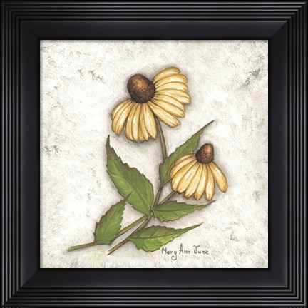 Framed Yellow Coneflowers Print