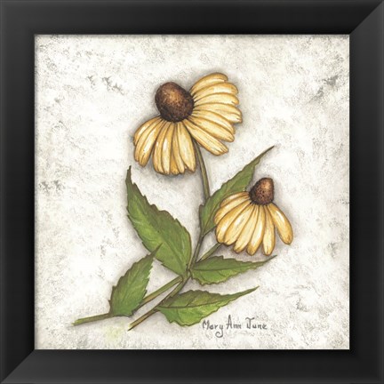 Framed Yellow Coneflowers Print