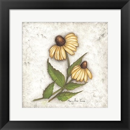 Framed Yellow Coneflowers Print