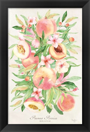 Framed Peach Bouquet Print