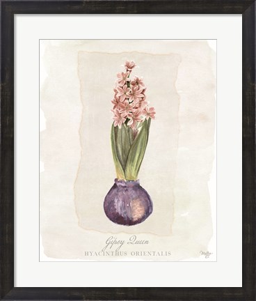 Framed Hyacinthus Orientalis II Print