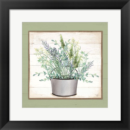 Framed Pot of Herbs II Print