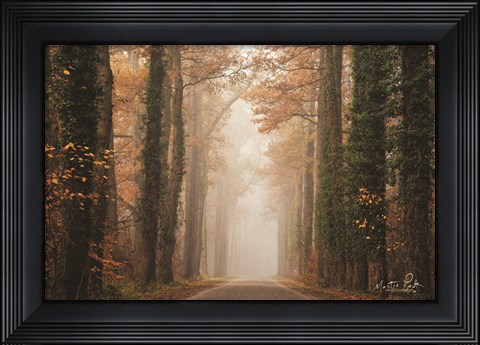 Framed Foggy Autumn Road Print
