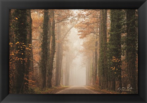 Framed Foggy Autumn Road Print