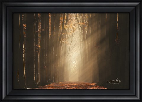 Framed Classic Shot Print