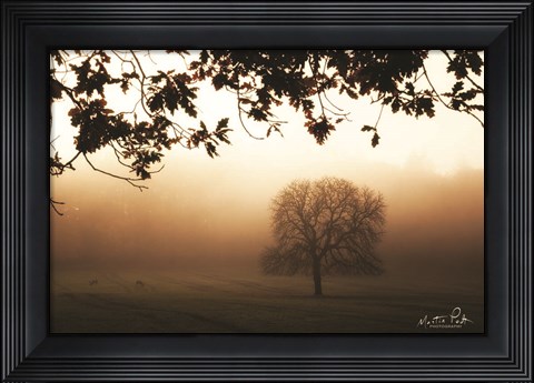 Framed Under the Leaves Print