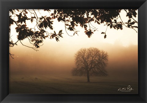 Framed Under the Leaves Print