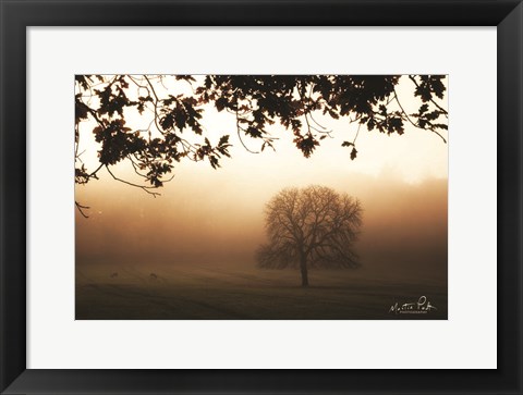 Framed Under the Leaves Print