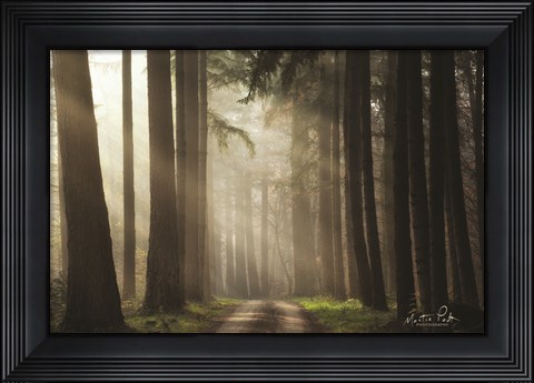Framed Natural Beauty Print
