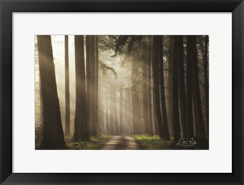 Framed Natural Beauty Print